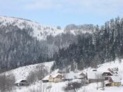 zimne04.jpg (171 KiB)