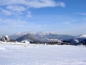 zimne09.jpg (171 KiB)